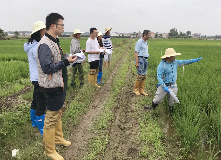 泰禾國(guó)際自主創(chuàng)新新品迎來(lái)年內(nèi)首輪大考