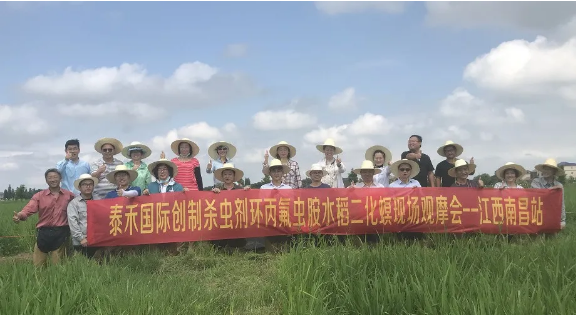 水稻二化螟為害肆意猖獗 環(huán)丙氟蟲胺出手技驚四座 ——?jiǎng)?chuàng)新殺蟲劑環(huán)丙氟蟲胺水稻二化螟藥效田試年內(nèi)首秀