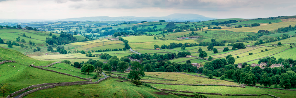 泰禾國際新型制冷劑R486A等榮獲美國ASHRAE認證